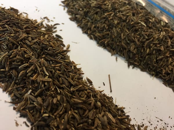 تصویر 3 از خرید و فروش زیره سیاه درجه یک با شرایط فوق العاده